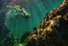 A diver swims through a sunlit underwater coral reef surrounded by clear turquoise waters.
