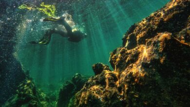 A diver swims through a sunlit underwater coral reef surrounded by clear turquoise waters.