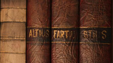 Detailed close-up of antique leather book bindings with ornate texture and golden text.