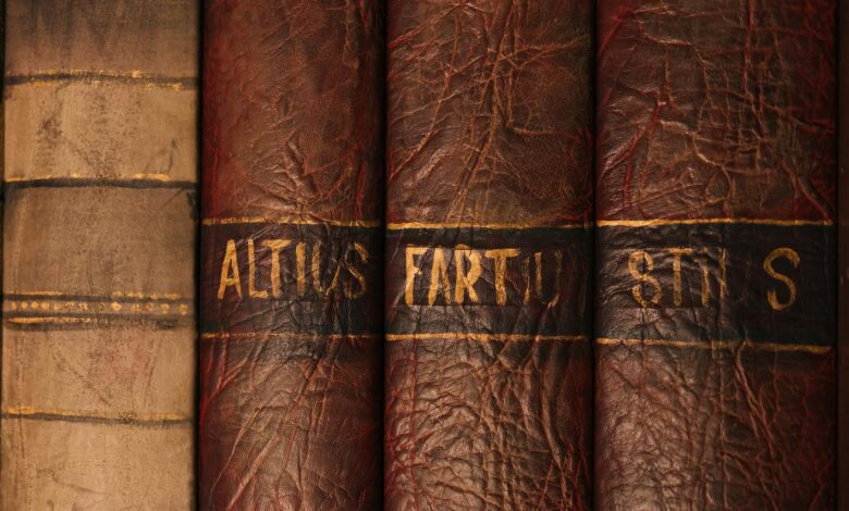 Detailed close-up of antique leather book bindings with ornate texture and golden text.