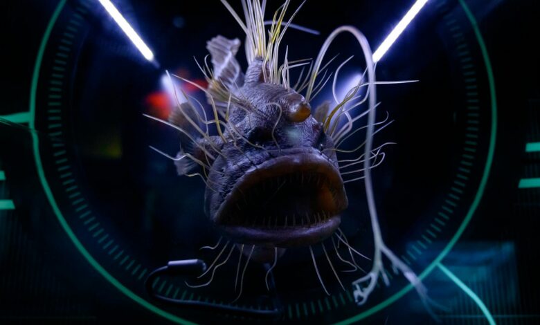 Dramatic close-up of a hairy anglerfish in an aquarium exhibition, emphasizing sea life.