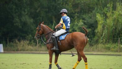 A polo player in team uniform riding a horse during a game on a green field.