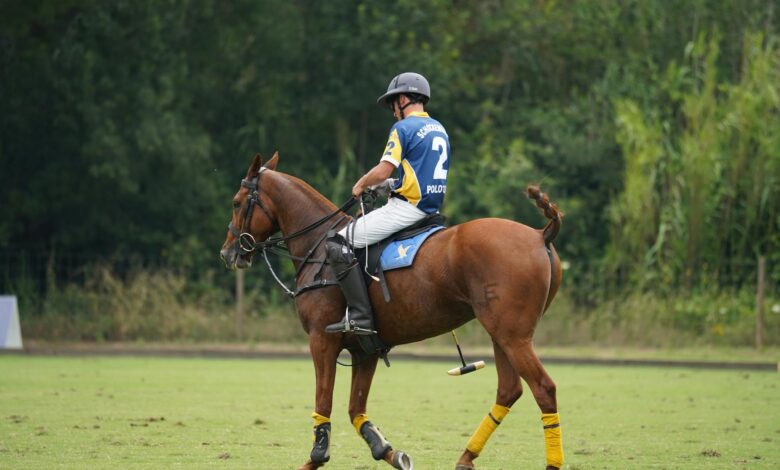A polo player in team uniform riding a horse during a game on a green field.