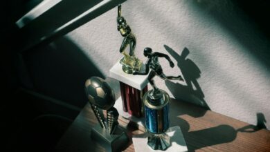 Collection of baseball and soccer trophies in sunlight, highlighting childhood achievements.