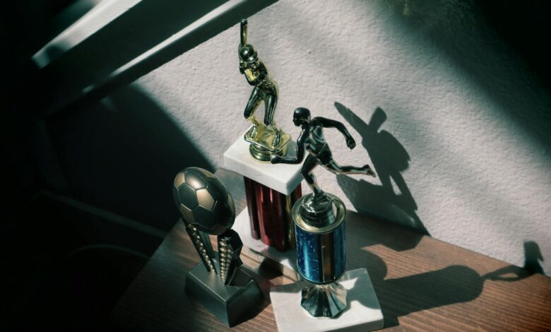 Collection of baseball and soccer trophies in sunlight, highlighting childhood achievements.