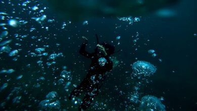 A scuba diver surrounded by bubbles deep underwater, showcasing the beauty of marine exploration.