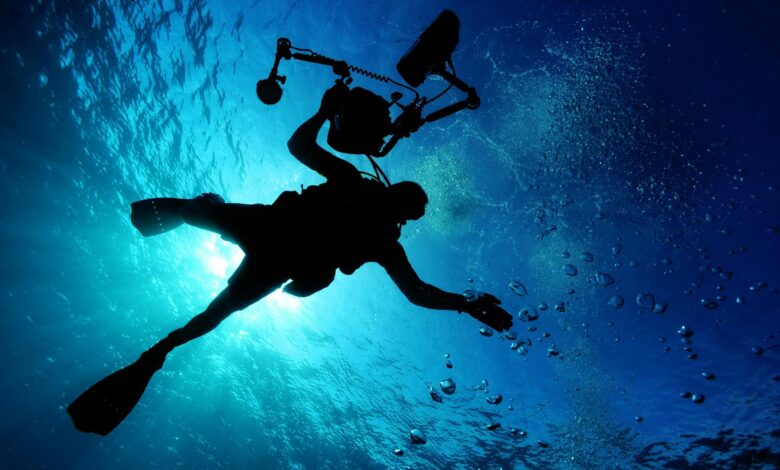 Silhouette of a diver filming underwater, capturing the serene oceanic environment.