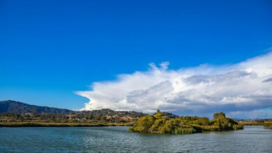 Beautiful summer landscape of a serene lake and lush greenery under a bright blue sky.