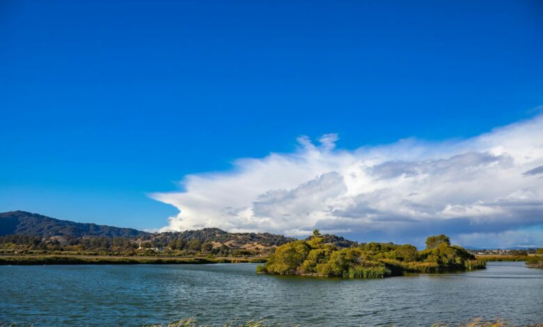 Beautiful summer landscape of a serene lake and lush greenery under a bright blue sky.
