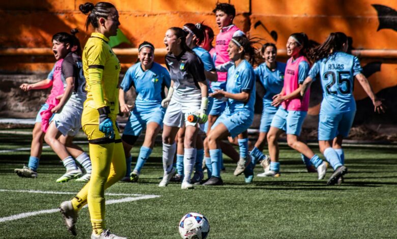 A women's soccer team celebrating after scoring a goal during a daytime match.