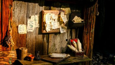 Charming rustic setup with scrolls and notes in Hobbiton, New Zealand.
