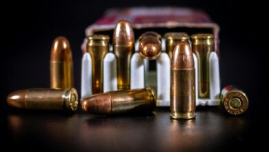 Detailed close-up of copper ammunition bullets in a cardboard box on black background.