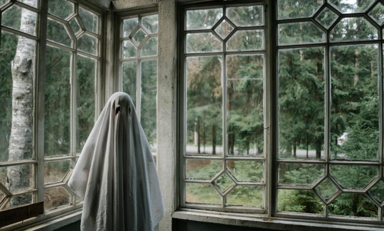 Ghost sheet costume in rustic room overlooking a forest, creating a spooky vibe.