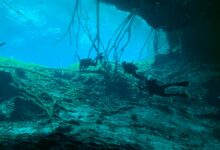 Scuba divers exploring a breathtaking underwater cave environment with intricate rock formations.