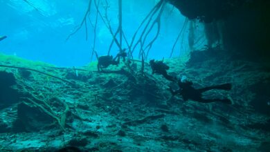 Scuba divers exploring a breathtaking underwater cave environment with intricate rock formations.