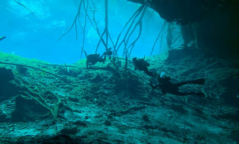 Scuba divers exploring a breathtaking underwater cave environment with intricate rock formations.