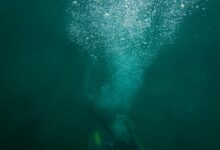 A scuba diver creates a trail of bubbles while exploring the deep ocean underwater.