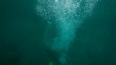 A scuba diver creates a trail of bubbles while exploring the deep ocean underwater.