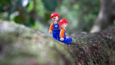 Two plastic toy figures resembling construction workers on a tree branch in a natural setting.