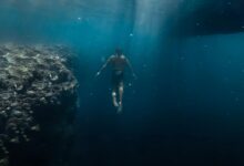 A diver explores vibrant coral reef underwater, capturing the tranquility and mystery of the ocean.