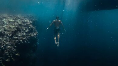 A diver explores vibrant coral reef underwater, capturing the tranquility and mystery of the ocean.