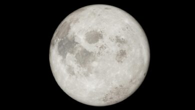 Detailed image of a full moon against a black night sky, showcasing lunar features.
