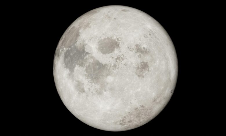 Detailed image of a full moon against a black night sky, showcasing lunar features.