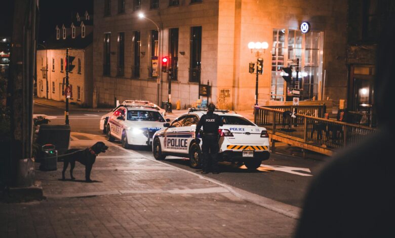 Police cars and officers in an urban street at night, creating a dynamic city vibe.