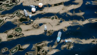 Floating plastic bottles and trash polluting a waterway with reflections.