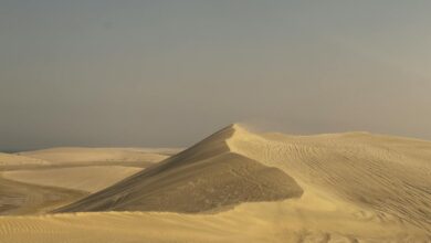 Serene desert dunes under a clear sky, capturing natural beauty and tranquility.