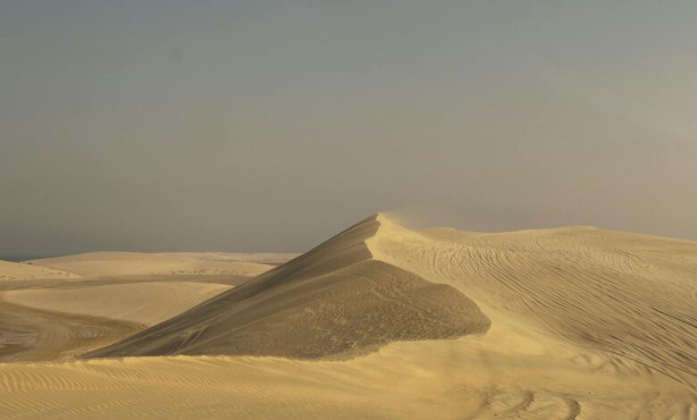 Serene desert dunes under a clear sky, capturing natural beauty and tranquility.