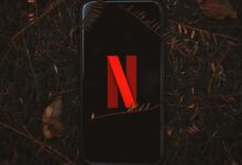 Smartphone with Netflix logo on screen, surrounded by dry leaves outdoors.