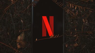 Smartphone with Netflix logo on screen, surrounded by dry leaves outdoors.