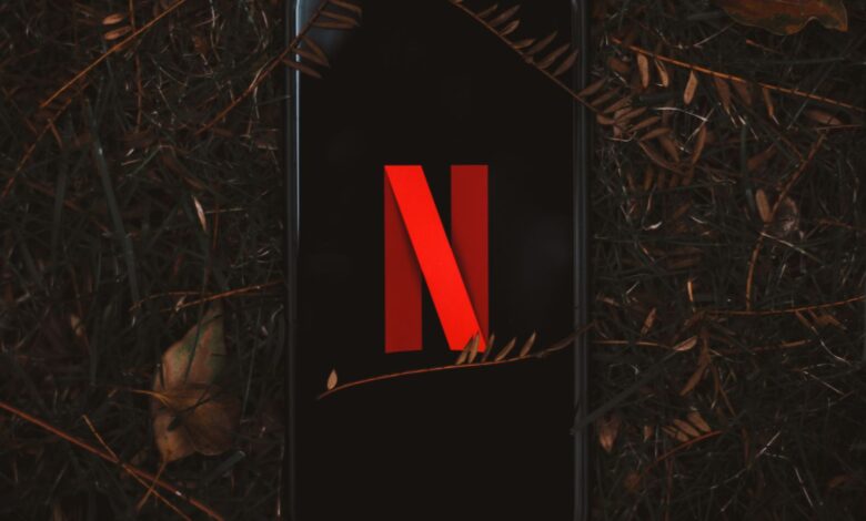 Smartphone with Netflix logo on screen, surrounded by dry leaves outdoors.
