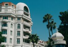Stunning view of majestic building and palm trees in sunny Cannes, France.