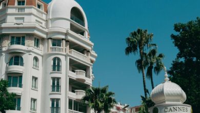 Stunning view of majestic building and palm trees in sunny Cannes, France.