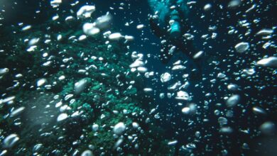Scuba diver submerged, surrounded by air bubbles underwater, exploring ocean depths.