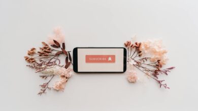 Minimalist flatlay featuring a smartphone with a subscribe screen, surrounded by delicate dried flowers.