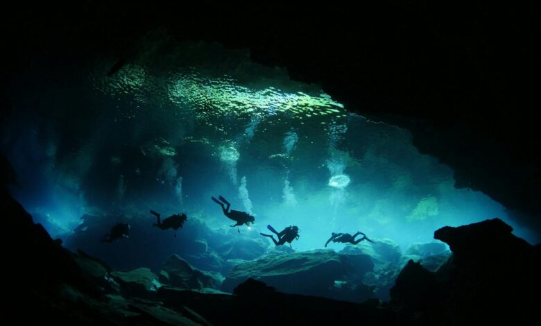 A group of divers explores a mysterious underwater cave with fascinating rock formations.