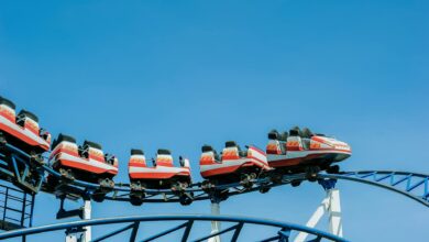 Exciting roller coaster ride with vibrant colors against a clear blue sky.