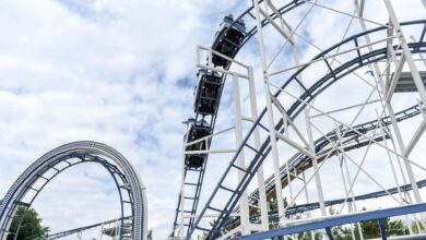 Experience the adrenaline rush of a steel roller coaster under blue skies at an amusement park.
