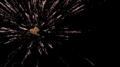 A captivating display of fireworks lighting up a dark night sky, perfect for celebrations.