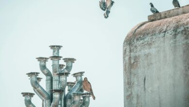 Pigeons perched and flying near a metal structure against a clear blue sky, capturing urban nature.