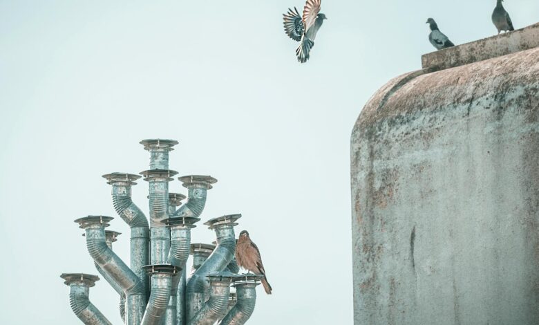 Pigeons perched and flying near a metal structure against a clear blue sky, capturing urban nature.
