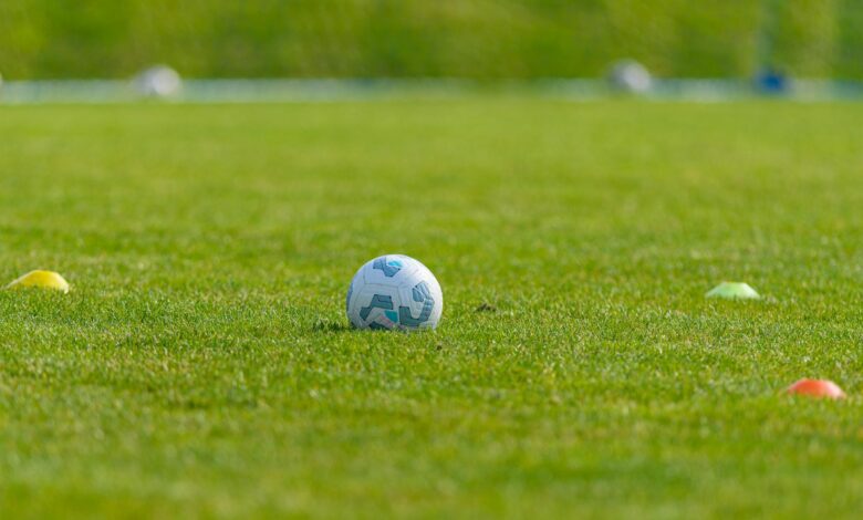 Soccer ball on a vibrant green grass field surrounded by colorful training cones, ideal for sports and recreation themes.