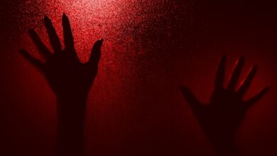 Silhouetted hands reaching up on a textured red-lit background, evoking mystery and drama.
