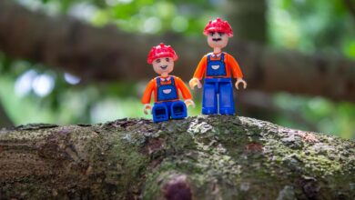 Colorful toy figures with helmets on a tree branch, showcasing creativity and playfulness.