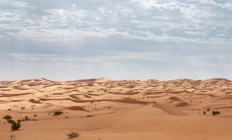 Expansive sand dunes stretch under a cloudy sky in the Algerian Sahara Desert.