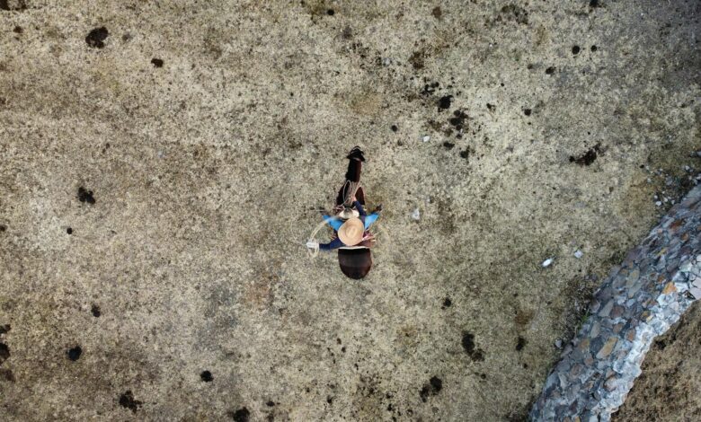 Drone shot of a horseback rider wearing a hat in rural Mexico.