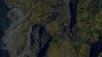 Close-up view of a moss-covered rock surface showcasing detailed textures and natural patterns.